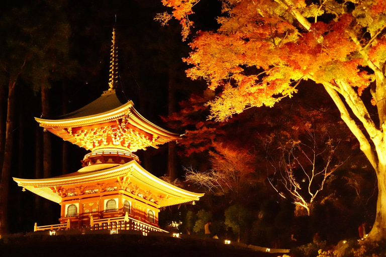 Osaka : Visite guidée du temple Katsuo-ji (Feuilles d&#039;automne)