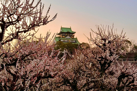 Billets d&#039;excursion inclus : Explorer le château d&#039;Osaka et le musée d&#039;histoire