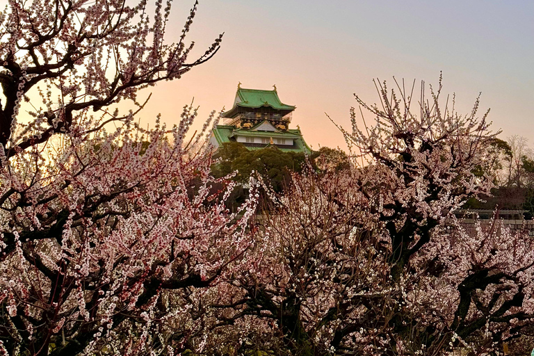 Billets d&#039;excursion inclus : Explorer le château d&#039;Osaka et le musée d&#039;histoire