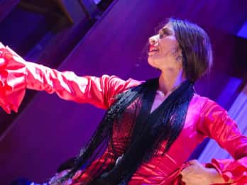 Valencia: La Linterna Flamenco Show
