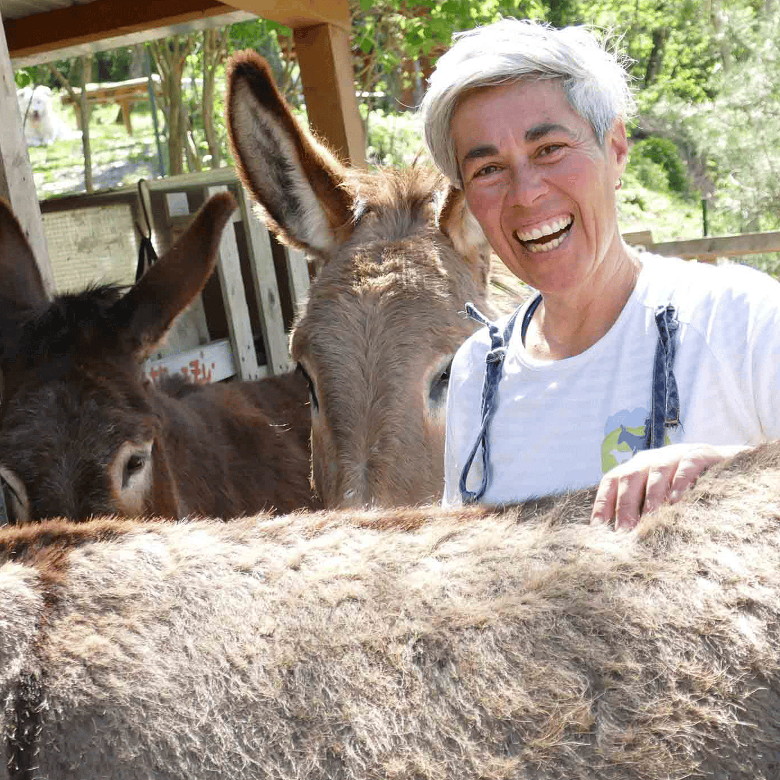 Arezzo: Besuch eines Bergbauernhofs auf der Alpe di Poti