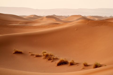 From Djerba: Desert, Ksar Ghilane, Matmata & Toujane by 4x4
