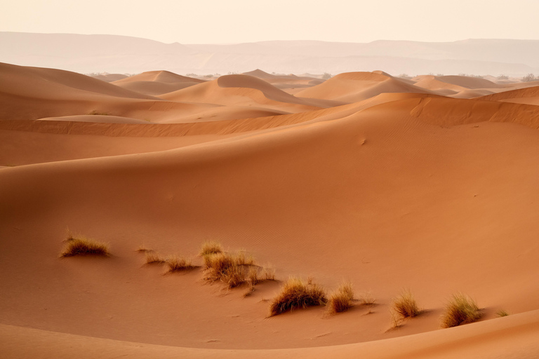 From Djerba: Desert, Ksar Ghilane, Matmata & Toujane by 4x4