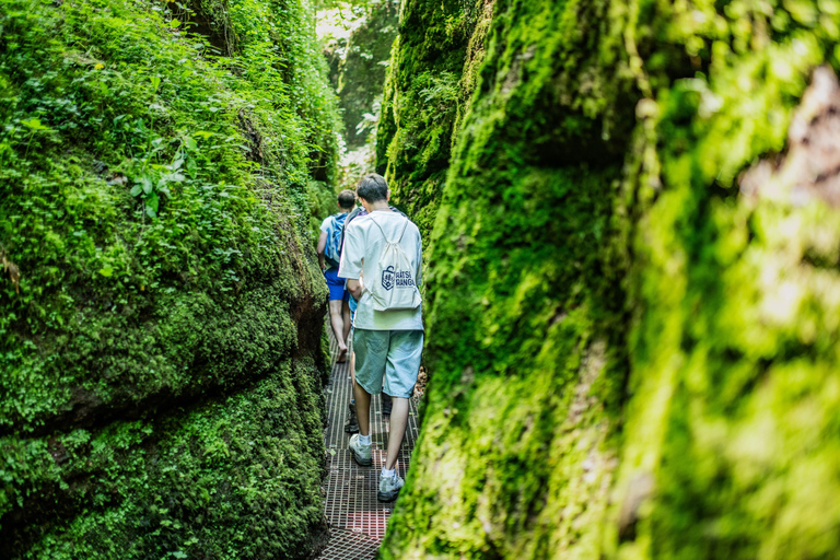 Eisenach: Outdoor-Rätselabenteuer rund um Drachenschlucht und Wartburg