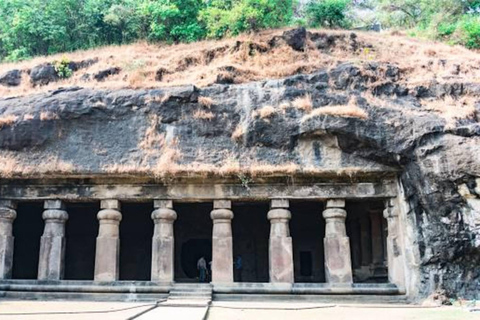 Från Mumbai: Halvdagsutflykt till Elephantas grottor med färjeturPrivat tur från Mumbais hamn