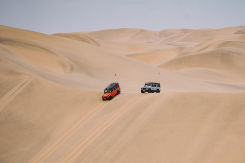 Walvis Bay: Full Day of Sandwich Harbour with Beach Lunch