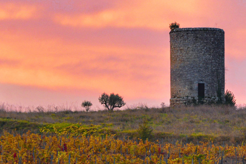 La Closerie de Fronsac: Classic Wine Tasting Tour La Closerie de Fronsac: Wine Tasting - Classic tour