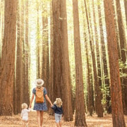 Yarra Valley | Redwoods, Wildlife or Farm, Chocolate