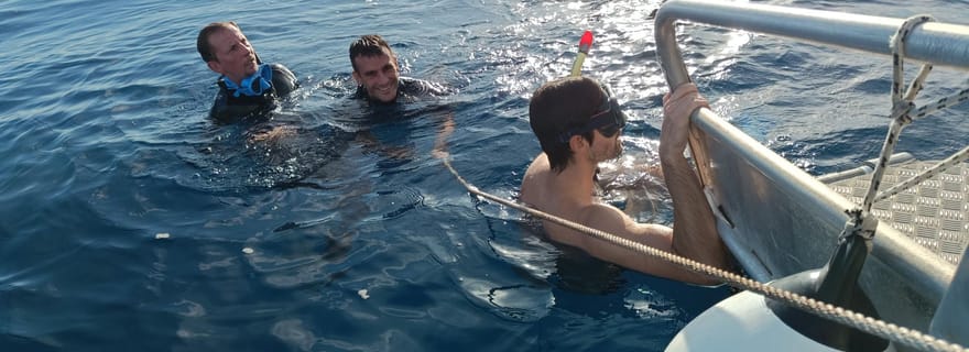 Réunion : Excursion dauphins et baleines à Saint-Gilles