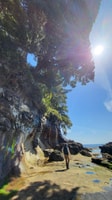 维多利亚或纳奈莫；西海岸大树沿海冒险 - Housity