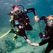 Sydney: Scuba Dive In Sydney, No Experience Required