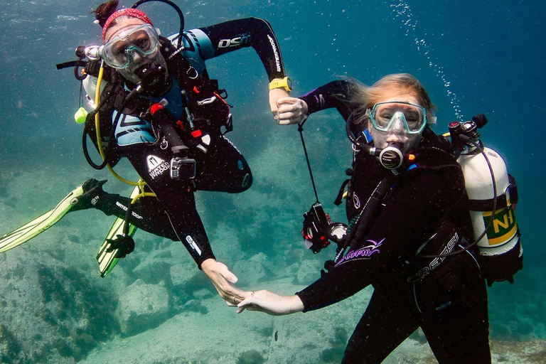 Sydney: Scuba Dive In Sydney, No Experience Required