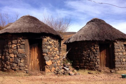 Durban: Tala Game Reserve, Phezulu Park en markttour