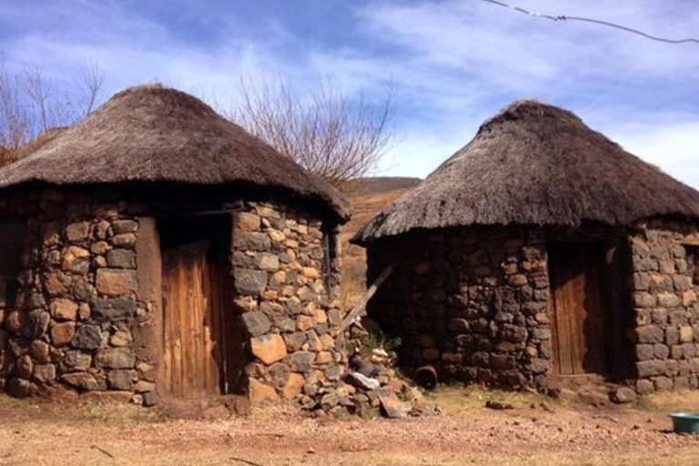 Durban: Tala Game Reserve, Phezulu Park en markttour