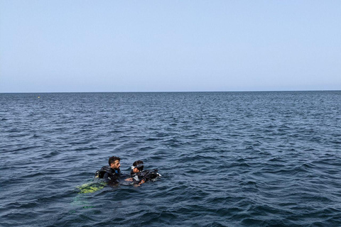 Hammamet: Guided Shore Dive for Beginners with Gear