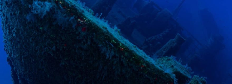 Madère : plongée sous-marine de 4 heures au départ de l'île de Porto Santo