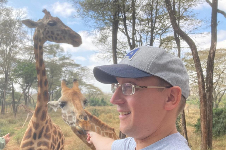 Parque Nacional de Nairobi, orfanato de elefantes e centro de girafas