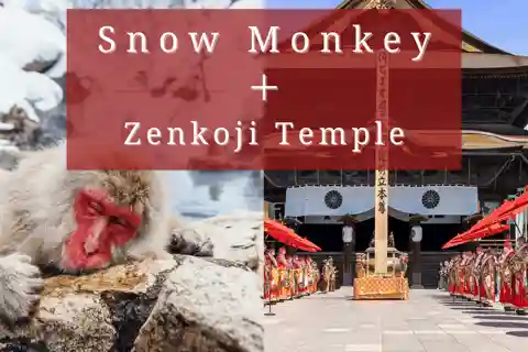 【Private】[Snow monkey park+Zenkoji Temple] From Nagano/Myoko