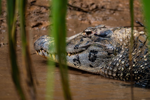 4D Eco-Adventure Tour Amazon Paradise - Puerto Maldonado