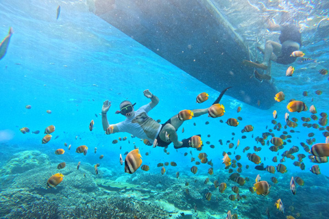 Nusa Penida: Gamat Bay & Manta Point Snorkeling Manta Point & Gamat Bay Public Snorkeling