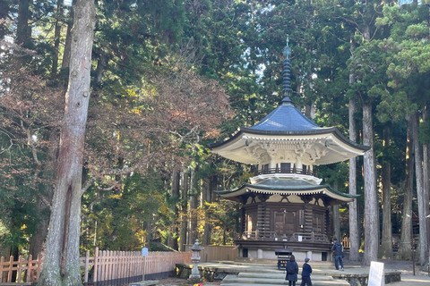 Mount Koya: Full-Day Private Guided Tour from Osaka