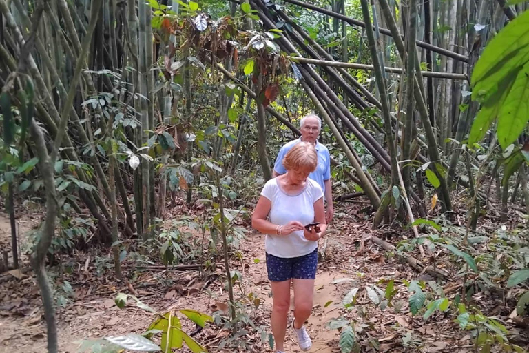 Khlong Sok: Khao Sok Waterfalls and Wildlife Half-Day TrekPrivate Adventure