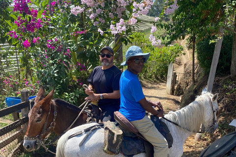 From Medellín: Jardín Coffee tour, optional Horseback Riding