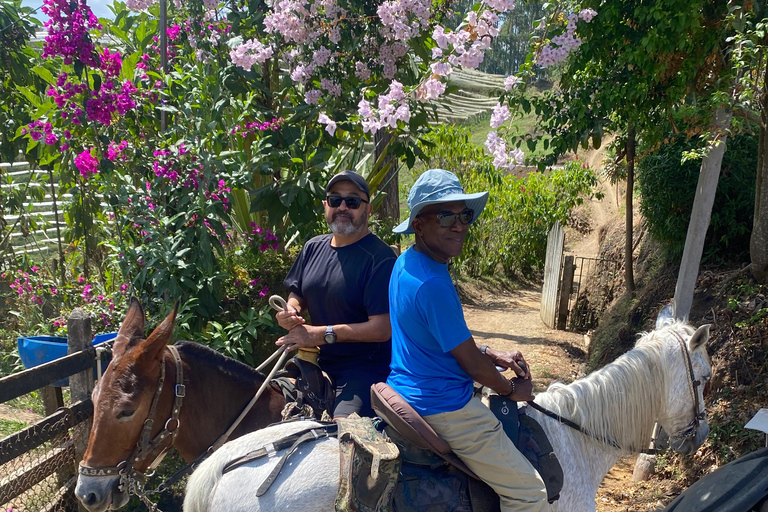 From Medellín: Jardín Coffee tour, optional Horseback Riding