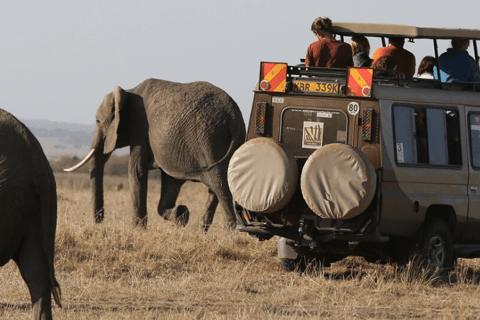 8-Day Luxury Flying Safari: Amboseli, Samburu and Masai Mara