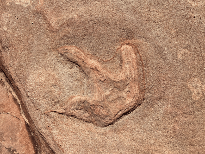 Zion National Park UTV Outback Tour GetYourGuide