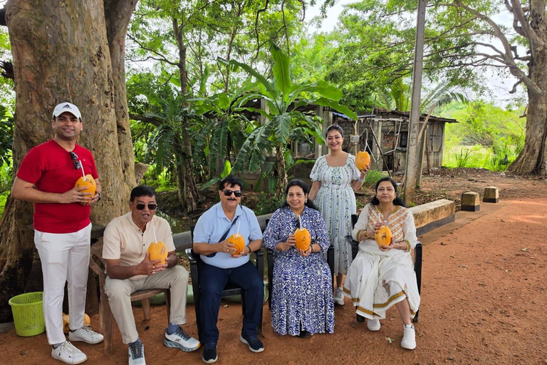 Kandy: Sigiriya, Dambulla, or Habarana Transfer & Tour