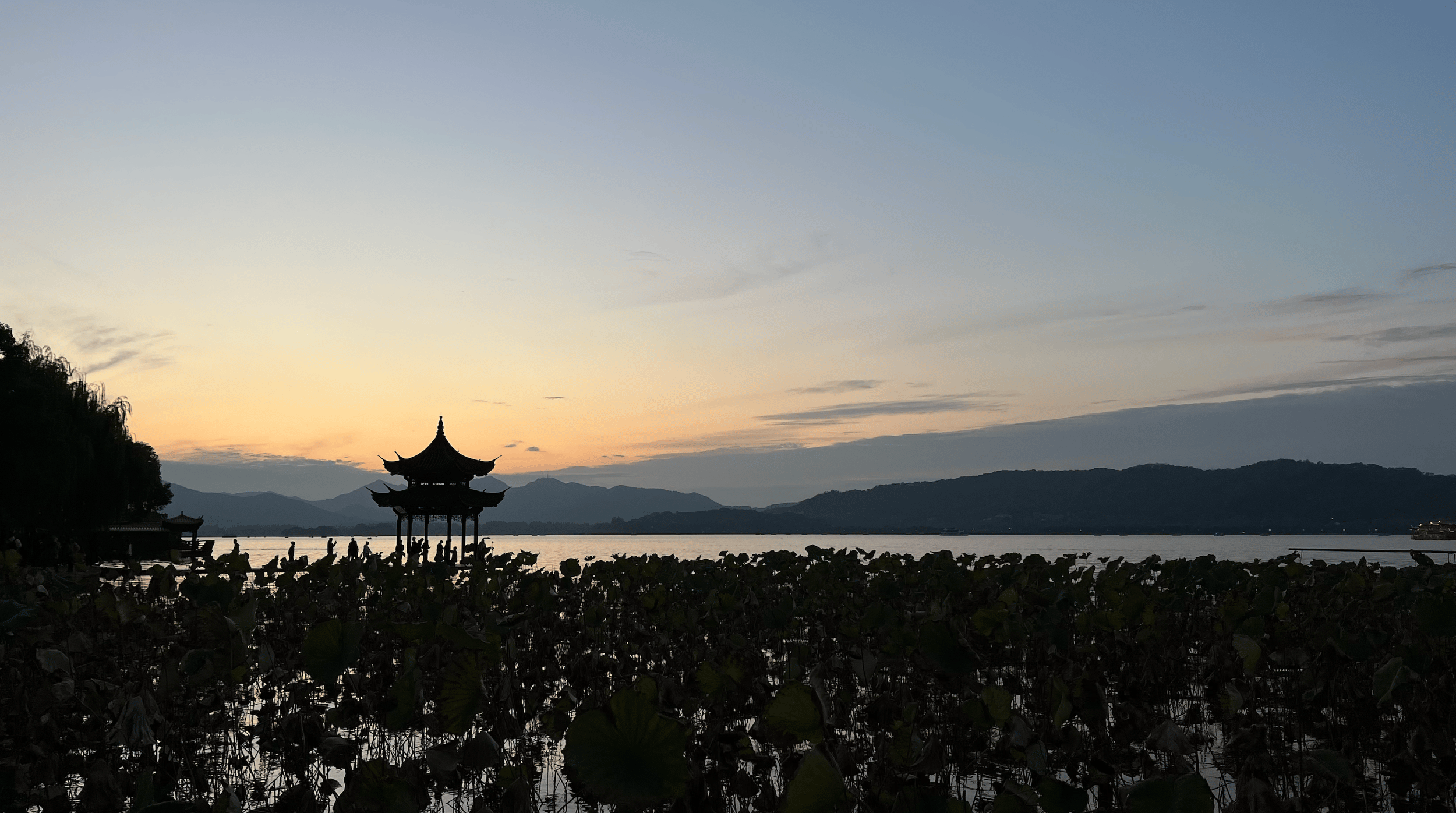 Hangzhou: Halbtagestour Private Tour (inkl. West Lake Cruise)