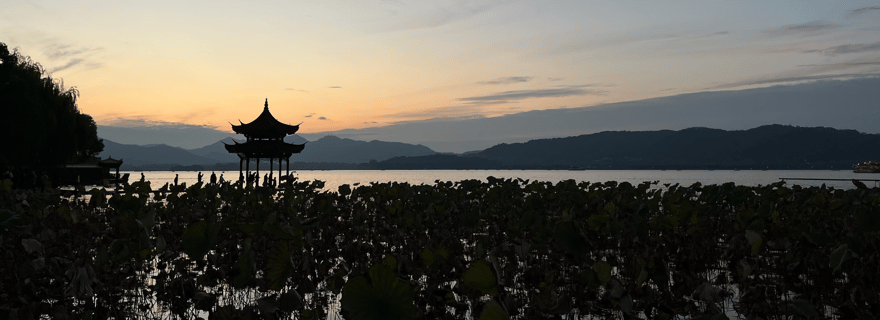 Hangzhou : Visite d'une demi-journée privée (croisière sur le lac de l'Ouest incluse)