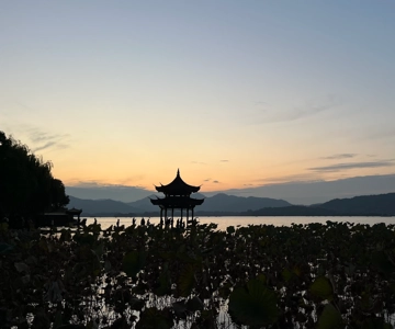 Hangzhou : Visite d'une demi-journée privée (croisière sur le lac de l'Ouest incluse)