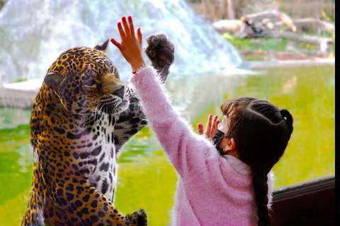 Teotihuacan: Ingång till Animal Kingdom Park; Äventyr &amp; Natur