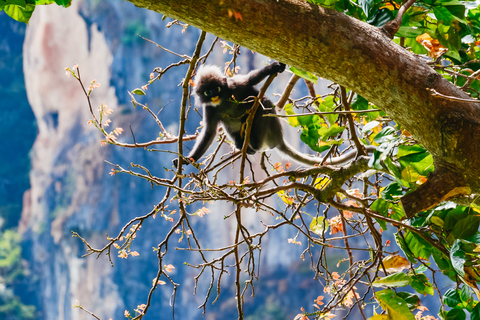 Ab Phuket: James-Bond-Insel-Tour per Longtail-Boot