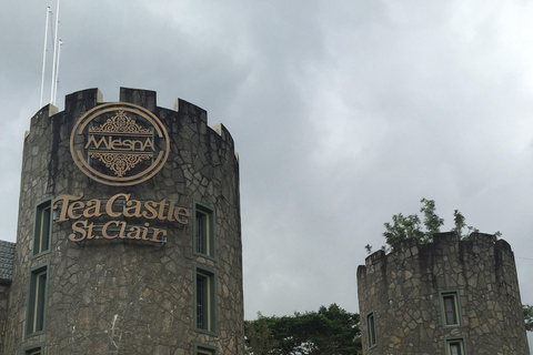 From Nuwara Eliya: Adam's Peak Climb & Ella Drop