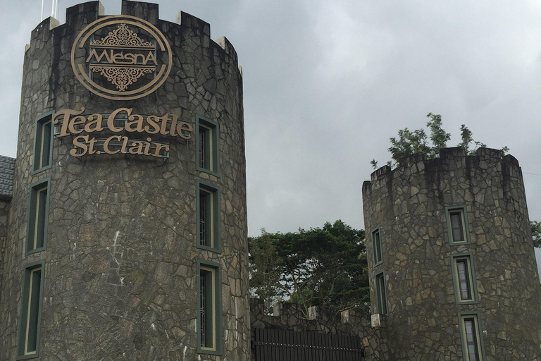 From Nuwara Eliya: Adam's Peak Climb & Ella Drop