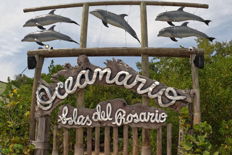 Cartagena: Excursion to the Rosario Islands and Playa Blanca with lunch