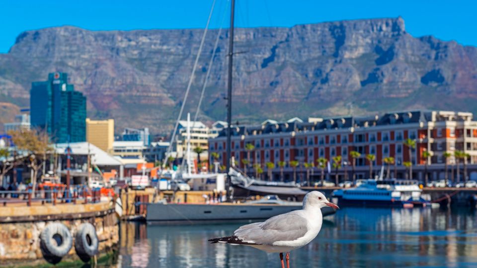 CAPE TOWN, world's most beautiful city  Table mountain, beaches &  waterfront 