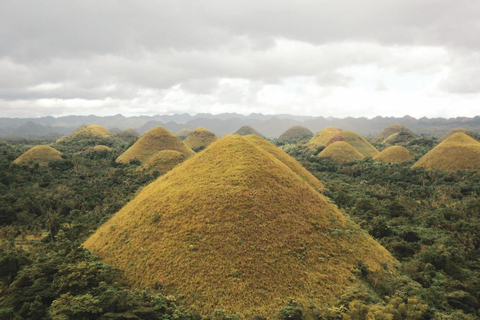 Visite privée des collines de chocolat de Bohol