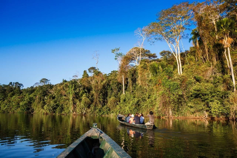 From Puerto Maldonado: 4-Day Amazon Rainforest Tour