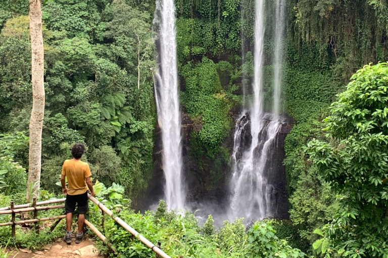 Bali Nord: Cascate e terrazza di riso di Sekumpul e BanyumalaTour privato senza biglietti d'ingresso
