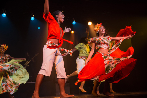 Rio de Janeiro : Entrée au spectacle de samba et transfertEntrée du spectacle de samba