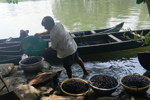 Kochi: City and Vaikom Village Tour with Homestay,Backwaters Vaikom village
