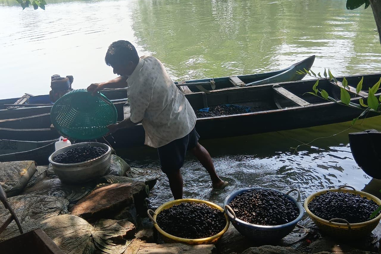Kochi: City and Vaikom Village Tour with Homestay,Backwaters Vaikom village