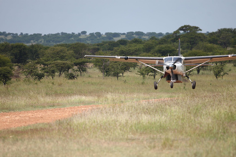 Mikumi nationaal park dagtrip vanuit Zanzibar