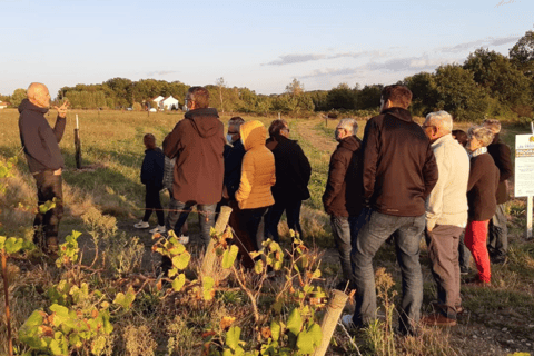 Visit an estate and taste wines in the Nantes vineyards