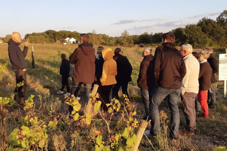 Visit an estate and taste wines in the Nantes vineyards