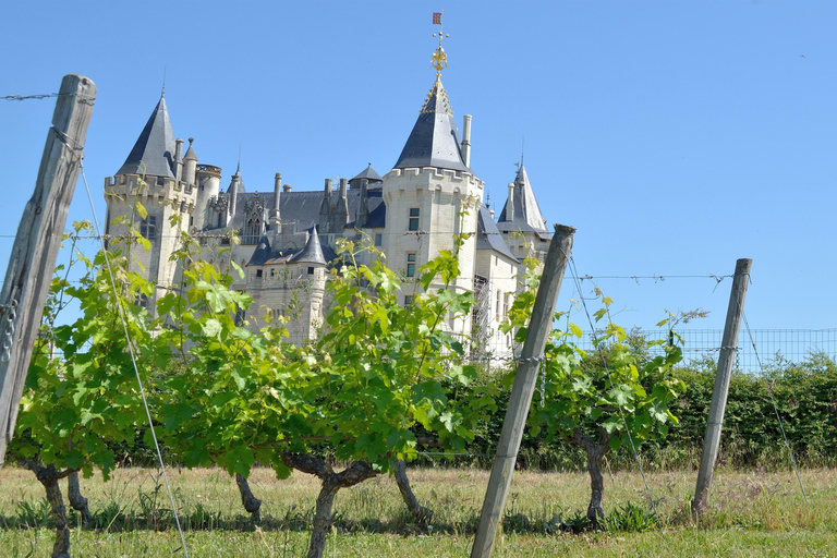 Vouvray wine half-day tour from Tours